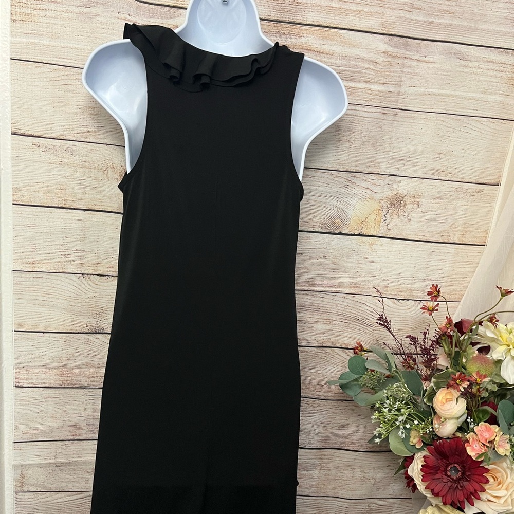 White House Black Market Shift Ruffle Dress Size 2 - Picture 7 of 10